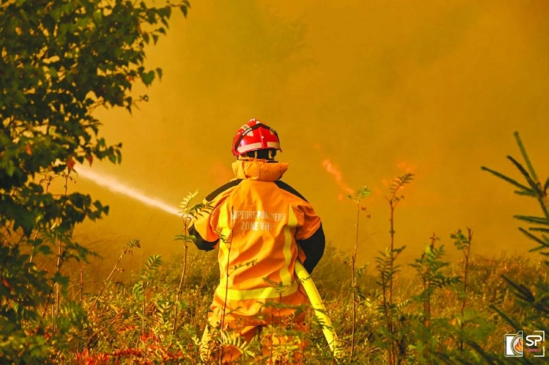 This undated handout photograph released on August 17, 2026 by VHP shows a firefighter trying to extinguish a wildfire in the Hautes Fagnes (High Fens) nature reserve. Rain started falling in Belgium on August 17, 2026 to help its fight against the country's biggest modern-day wildfire that has devastated some 3,000 hectares (7,500 acres) of the High Fens park on the border with Germa. Some 500 firefighters and troops are battling the blaze that has sent a huge cloud of black smoke across the region into neighbouring Germany and France. (Photo by Steph Picture / VHP / AFP) / RESTRICTED TO EDITORIAL USE — MANDATORY CREDIT "AFP PHOTO / VHP / STEPH PICTURE" — HANDOUT — NO MARKETING NO ADVERTISING CAMPAIGNS — DISTRIBUTED AS A SERVICE TO CLIENTS This undated handout photograph released on August 17, 2026 by VHP shows a firefighter trying to extinguish a wildfire in the Hautes Fagnes (High Fens) nature reserve. Rain started falling in Belgium on August 17, 2026 to help its fight against the country's biggest modern-day wildfire that has devastated some 3,000 hectares (7,500 acres) of the High Fens park on the border with Germa. Some 500 firefighters and troops are battling the blaze that has sent a huge cloud of black smoke across the region into neighbouring Germany and France. (Photo by Steph Picture / VHP / AFP) / RESTRICTED TO EDITORIAL USE — MANDATORY CREDIT "AFP PHOTO / VHP / STEPH PICTURE" — HANDOUT — NO MARKETING NO ADVERTISING CAMPAIGNS — DISTRIBUTED AS A SERVICE TO CLIENTS