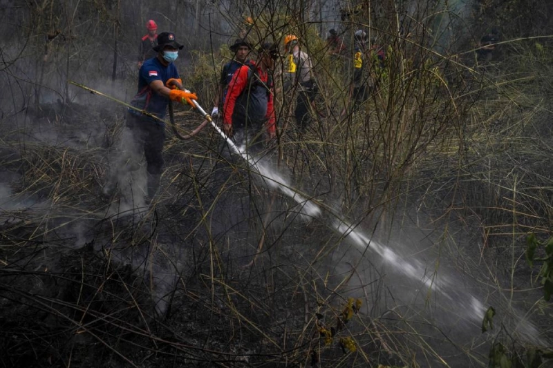 Fire fighters battle peatland fires in Sintang, West Kalimantan, Friday. (AFP) Fire fighters battle peatland fires in Sintang, West Kalimantan, Friday. (AFP)
