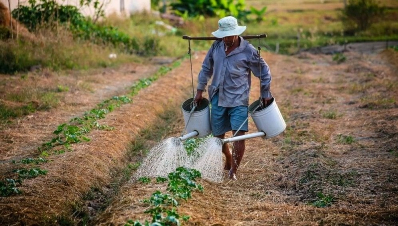 Secteur agricole en Afrique