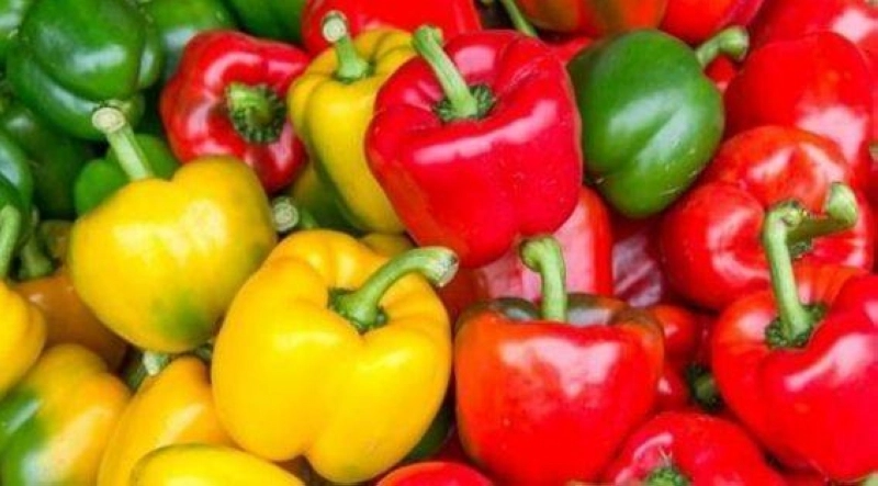 Les poivrons marocains sont retirés du marché tchèque