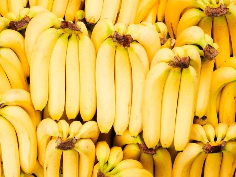 Les bananes seraient face à un risque de disparition imminente.