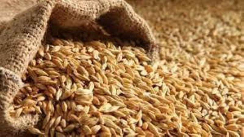 Le secteur agricole devrait connaitre une croissance significative