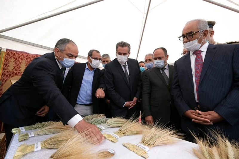 Nouvelle station expérimentale de l’INRA à Mardouch