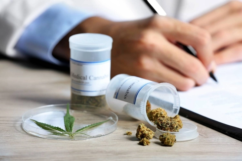 L'utilité thérapeutique du cannabis est déjà prouvée scientifiquement, ses apports socio-économiques le sont aussi désormais.