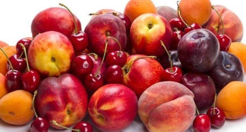 Les fruits à noyau, grandes victimes des vagues de froid en Europe