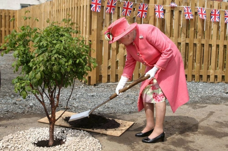 Elizabeth II. 70 ans de règne, la canopée verte