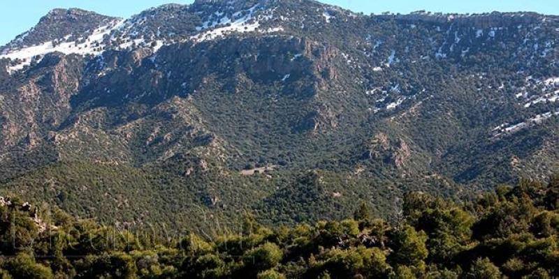 Une nouvelle agence nationale pour la gestion des eaux et forêts