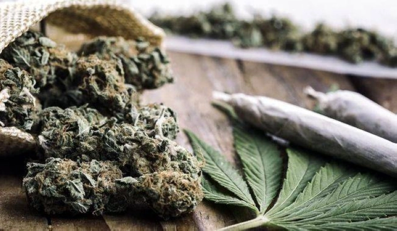 Largement répandu parmi les jeunes, l'usage du cannabis devient vite une addiction