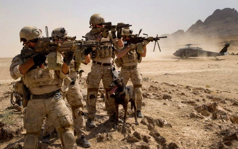 African Lion au Sahara marocain. Qui veut bombarder?