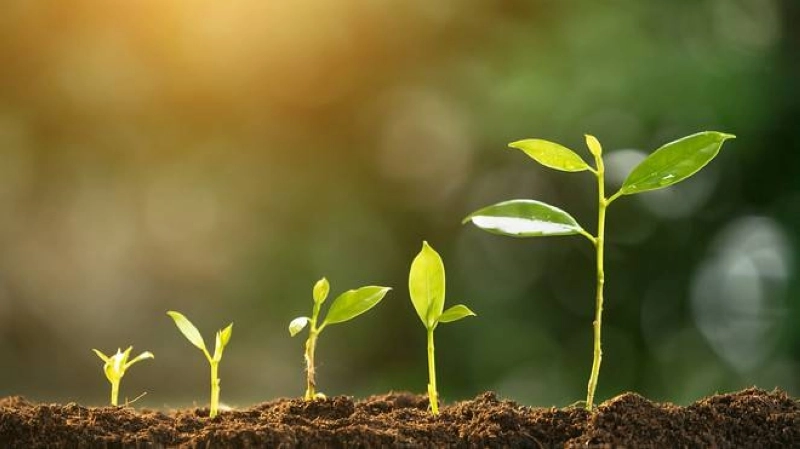 La croissance du PIB agricole reste déterminante pour l'économie marocaine