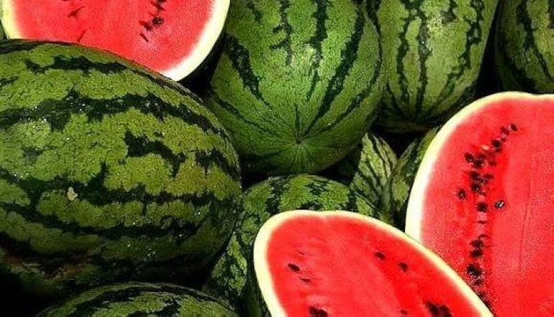 La pastèque marocaine est conforme aux normes de sécurité sanitaire.