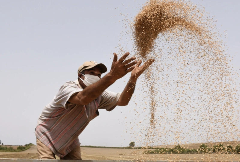 La moisson a été bonne cette année et les agriculteurs s'en réjouissent.