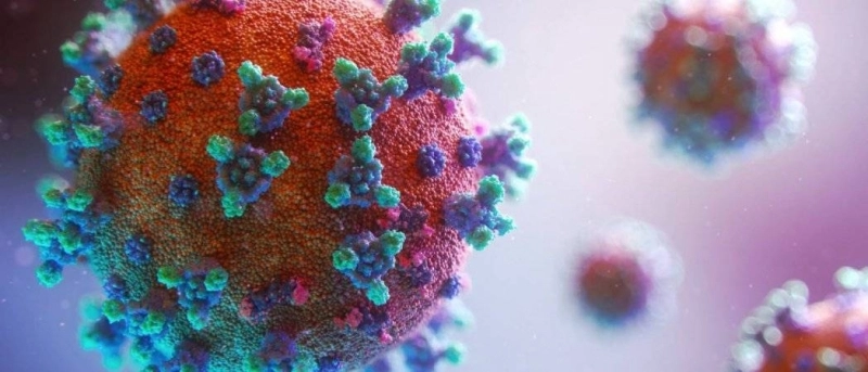 Une infection de longue durée facilite les mutations du virus