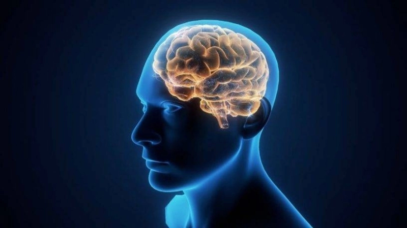Matière grise touchée par le virus, un effet irrémédiable ?