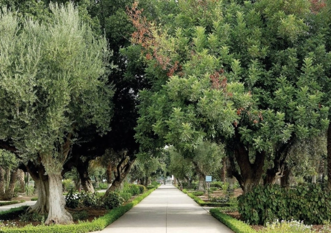 Les jardins luxuriants de Marrakech
