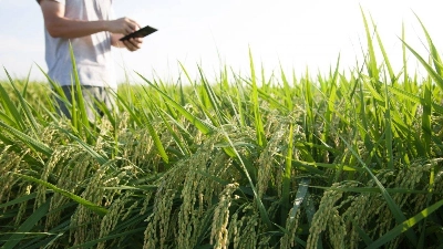 Au-delà du financement, l’accompagnement technique et l’encadrement sont une composante importante de la réussite d’un projet agricole.