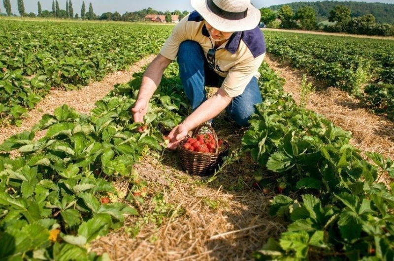 La croissance a dépassé les prévisions