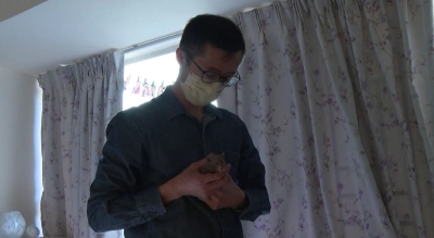 Désarroi des propriétaires des hamsters