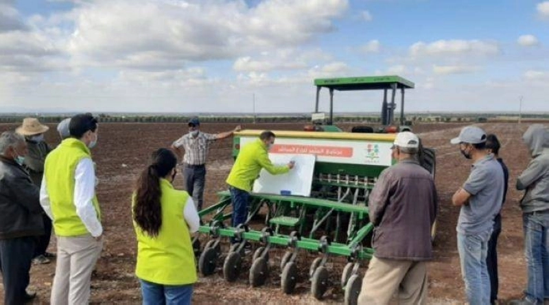 Le programme Al Moutmir a permis d’atteindre de bons résultats durant la campagne agricole 2020-2021 pour les cultures maraîchères.