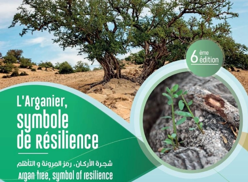 La 6ème édition du Congrès International de l’Arganier aura lieu du 11 au 13 mai 2022 à Agadir.
