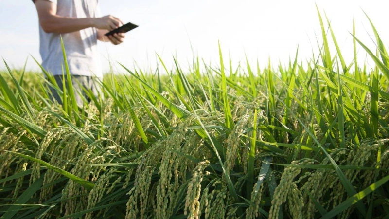 Connecter les acteurs de l’amont et de l’aval agricole.