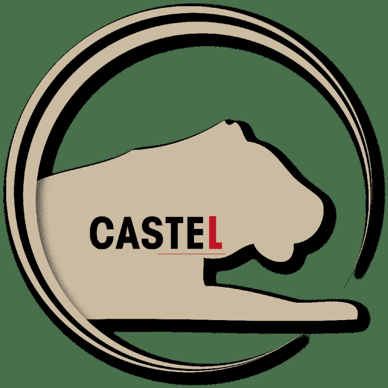 De lourdes charges pèsent sur Castel