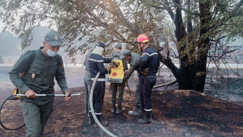 Forte mobilisation pour éteindre les flammes