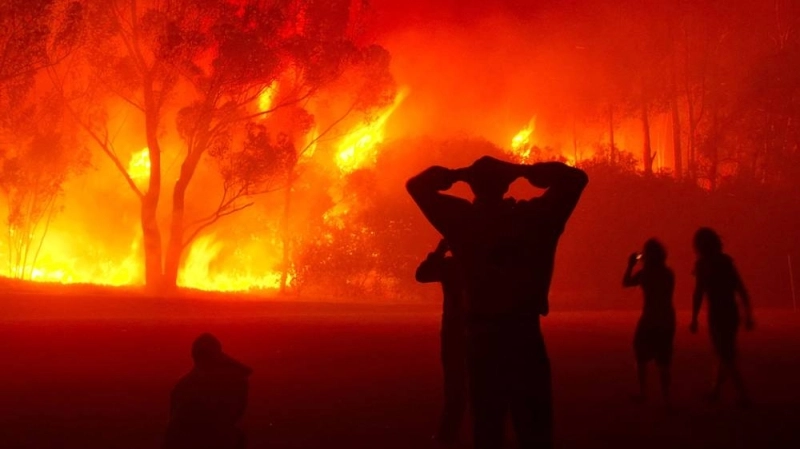 Près de 10.300 hectares de forêts ont été ravagés par des incendies depuis le 10 juillet dernier dans différents région du Maroc.