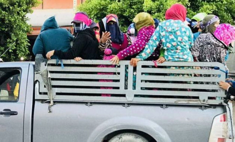 Victimes d'exploitation, les travailleuses agricoles vivent et meurent dans l’indignité