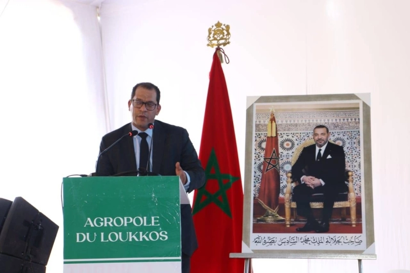 Omar Elyazghi, président du directoire de MedZ.