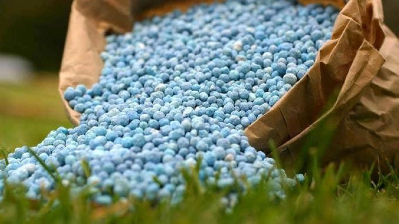 Le cours mondial des engrais explose, et cela risque de peser sur la production agricole en Afrique.