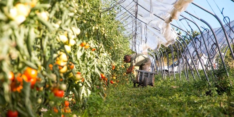 Des experts en environnement et agriculture, européens et marocains sont en discussion pour la mise en place des stratégies alimentaires durables.