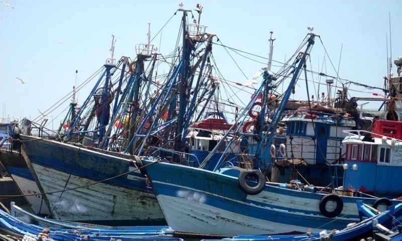 Le secteur de la pêche au port de Tan-Tan, a réalisé au cours de l’année 2022, un niveau record en termes de débarquement des produits de la mer.