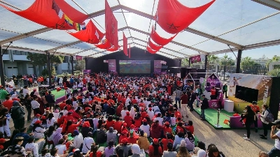 Fan Zone_Image 4