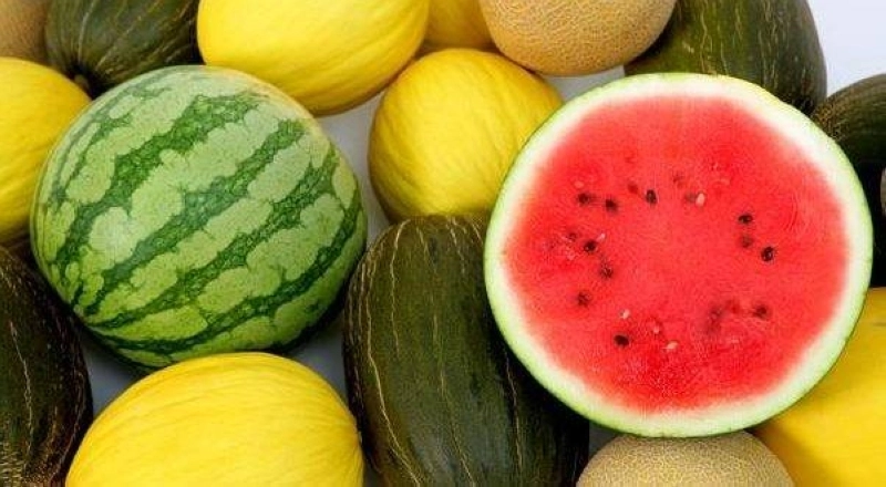Les cultures de pastèque et de melon désormais interdites à Guelmim.