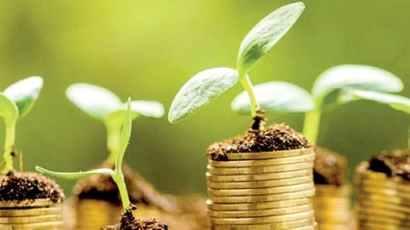 Inclusion sociale, auto-emploi et indépendance financière, principaux objectifs du programme