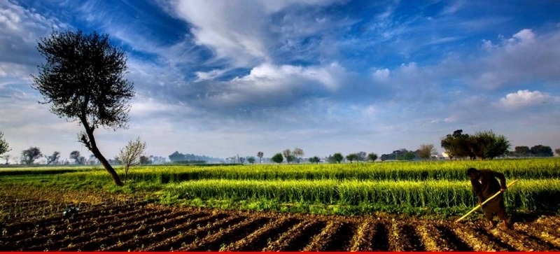 OCP, UM6P et le groupe Fauji signent un protocole d’accord visant à développer une offre adaptée au contexte agricole pakistanais.