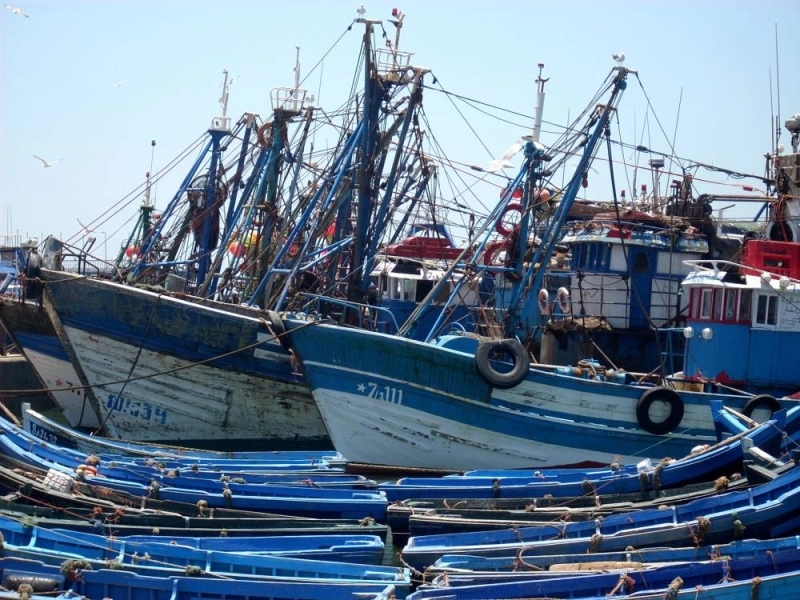 Pêche maritime. Le Maroc signe un partenariat avec la Mauritanie.