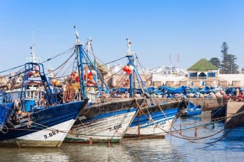 Port de pêche d'Essaouira. Moins de prises
