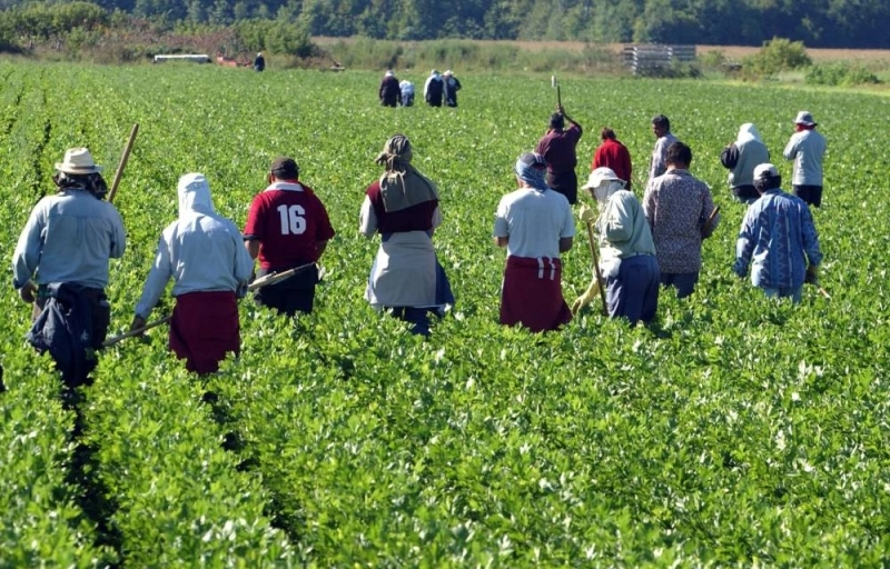 Les plus grandes pertes d'emplois en milieu rural