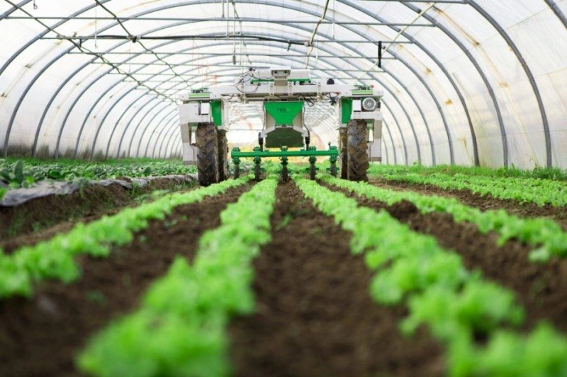 De nouveaux contrats-programmes pour le développement des filières agricoles seront signés lors du SIAM.