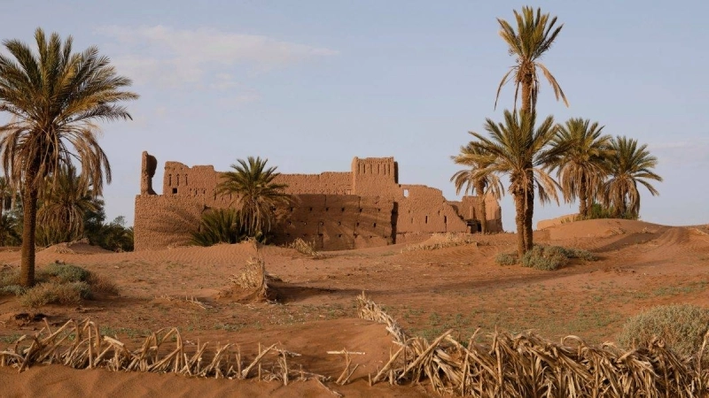 Le Maroc s'engage à préserver et à valoriser ses oasis.