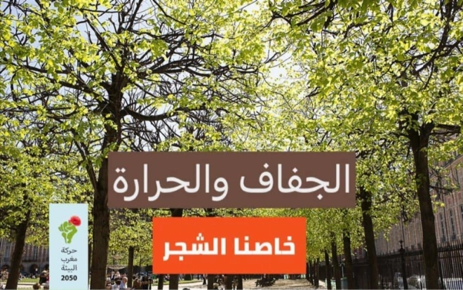 Les arbres nos alliés dans la lutte contre la pollution et la sécheresse