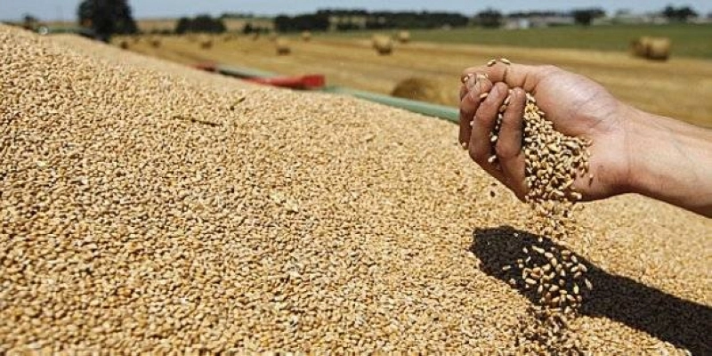 Changement climatique. Le Maroc parmi les moins touchés en Afrique du Nord.