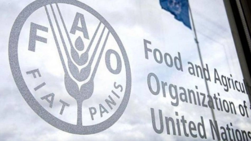 FAO : Le Maroc élu membre du Conseil d'administration.