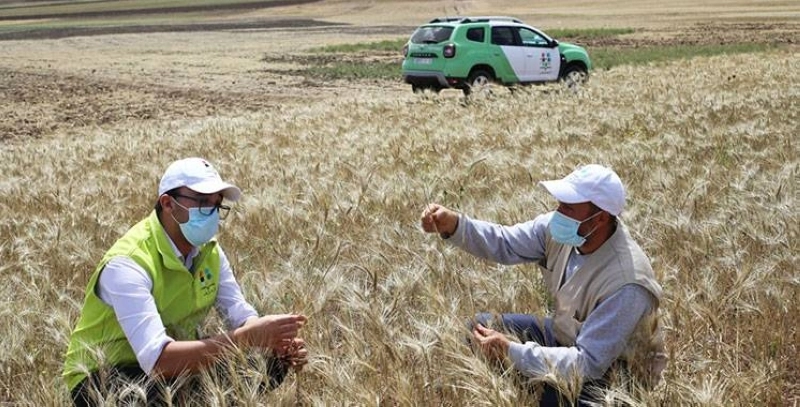 Al Moutmir Open Innovation Lab : 14 800 Plateformes de Démonstration au Service de l'Agriculture.