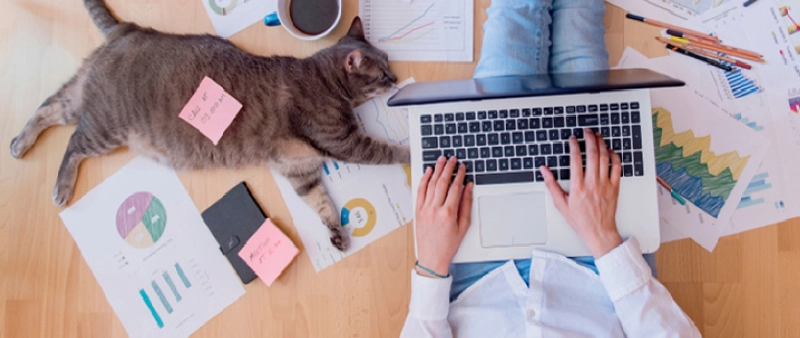 Télétravail, plus motivant, moins stressant et beaucoup plus productif