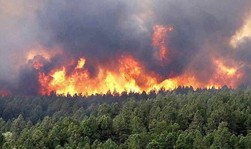 L'incendie de la forêt de Maghraoua a été totalement maîtrisé