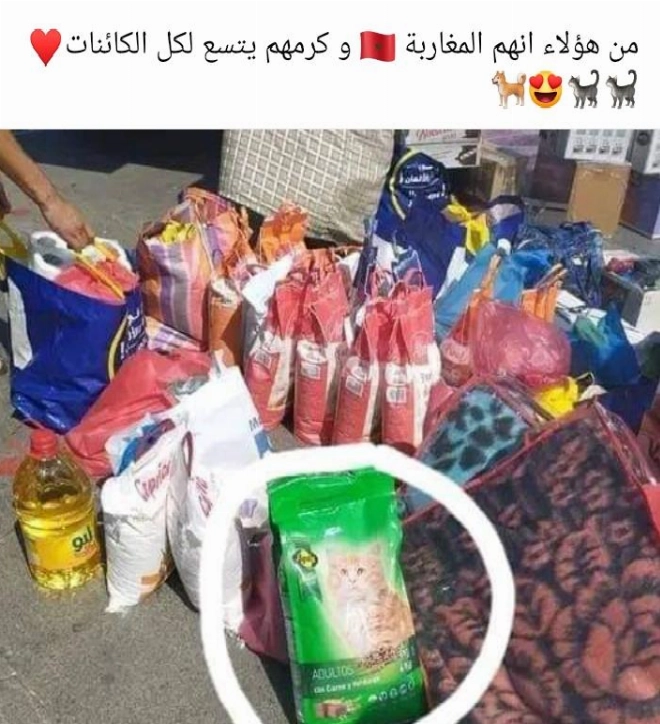 Elan d'humanisme