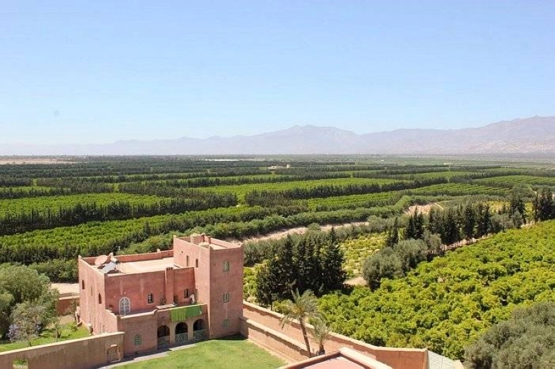 Malgré le séisme, Taroudant enregistre une forte affluence touristique.